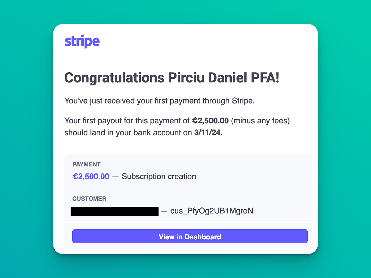 Stripe payment